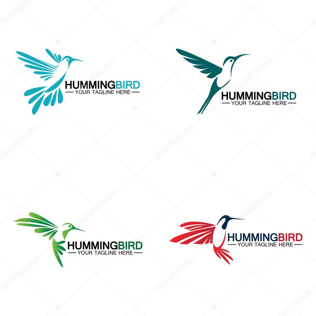 Hummingbird logo design vector template