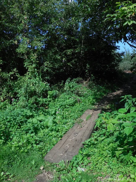 Small Bridge Ditch Edge Village Made Old Cracked Half Rotted — Stock Photo, Image