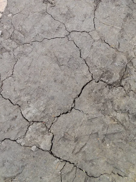Глубокие Трещины Вмятины Сухой Серой Поверхности Земли — стоковое фото