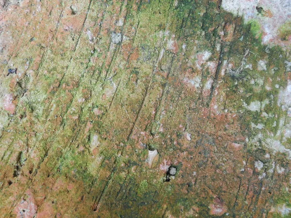 Stara Czerwona Cegła Nierównej Powierzchni Pęknięciach Zaczęła Być Pokryta Mchem — Zdjęcie stockowe