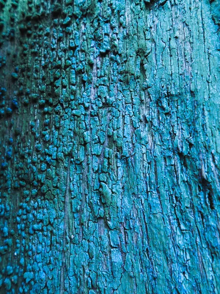 Пілінг Шарів Фарби Тріщинами Чіпсами Поверхні Стіни Старої Дерев Яної — стокове фото