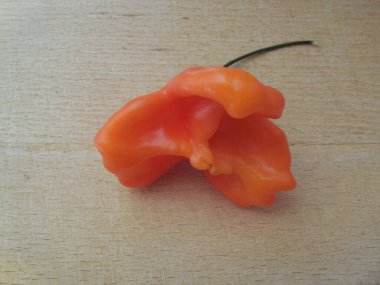 Turuncu acı biber (Capsicum annuum), bir çiçek veya çana benzeyen alışılmadık şekilli bir kapsül..