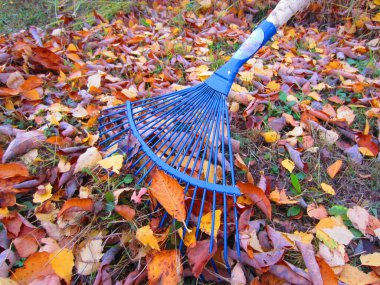 Parlak mavi yelpaze, mevsimin sonunda ağaçların altından düşen yaprakları ve çalıları toplamak için, çiçek tarlaları, çimenler ve süs bitkilerinde düzeni sağlamak için kullanılır..