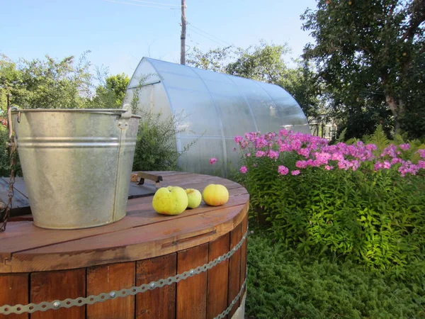 夏天的时候 一个矮小的花园 亮粉色的狮身人面像 一口井和一个金属桶 绿色黄色的苹果和远处的聚碳酸酯温室 — 图库照片
