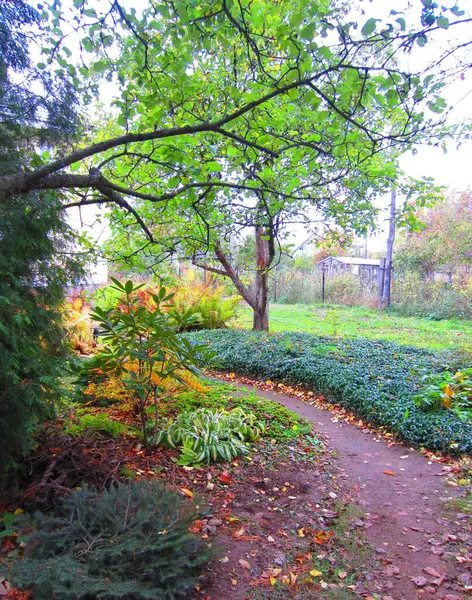 Ein Garten Mit Obst Und Zierbäumen Herbst Geschmückt Mit Leuchtenden — Stockfoto