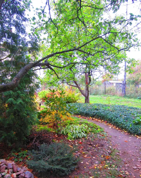 Ein Garten Mit Obst Und Zierbäumen Herbst Geschmückt Mit Leuchtenden — Stockfoto