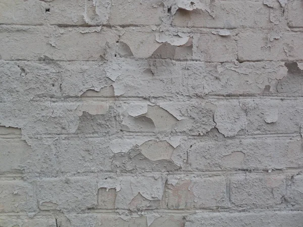 从旧砖墙上剥下一大块白色石膏皮 — 图库照片