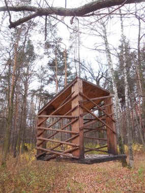 Güzel bir kuş besleyicisi ince tahta levhalardan (tahta) yapılır. Sonbaharda ormanda, bulutlu bir günde.