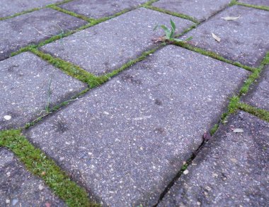 Dikdörtgen düz gri asfalt levhalar. Pistin elementleri arasındaki çatlaklarda yosun yeşeriyor..