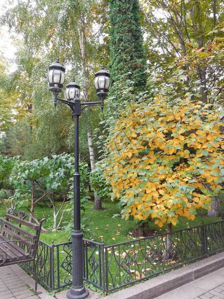 Paisagem Parque Florestal Jardim Cidade Banco Uma Lanterna Antiga Árvores — Fotografia de Stock