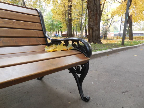 Beautiful Bench Wooden Seat Metal Legs Figured Decor Autumn Park — Stock Photo, Image