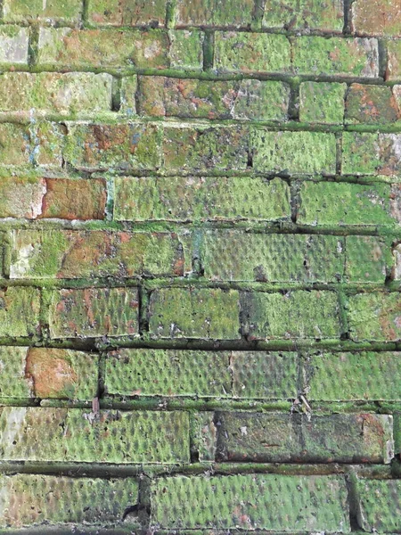 Egy Régi Fal Repedt Omladozó Vörös Téglából Zöld Mohával Benőve — Stock Fotó