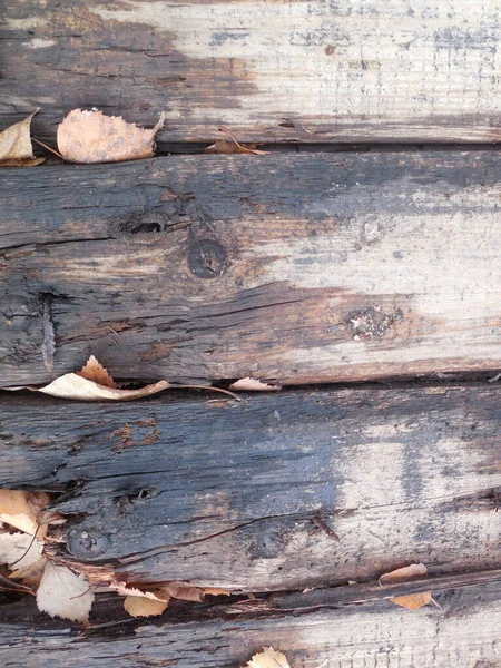 Viejo Suelo Madera Mojado Podrido Ruinas Base Área Abierta Hay —  Fotos de Stock