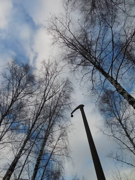 Versterkte Betonnen Mast Toren Steun Van Een Straatverlichting Lamp Kapot — Stockfoto