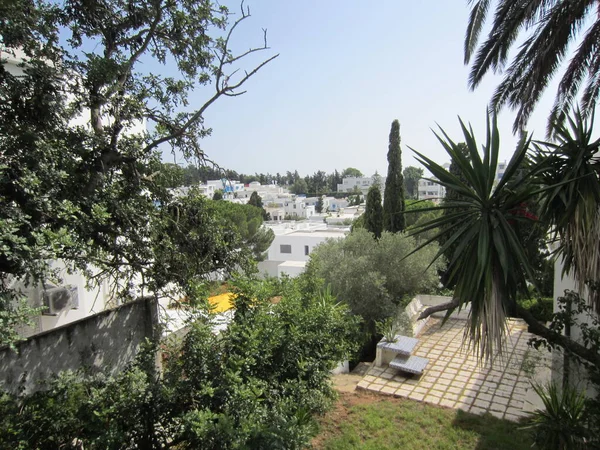 Tunis July 2013 农村地区密集发展的碎片 小白屋 棕榈树 — 图库照片