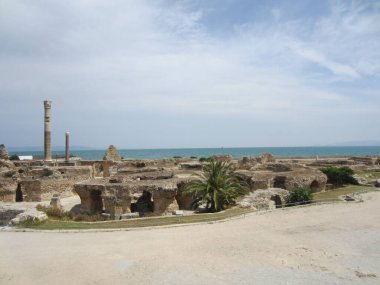 Tunus, Temmuz 2013. Manzara, deniz ve ufuk çizgisi. Harabeleri, taş sütunları ve palmiyeleri olan müze şehri Kartaca..