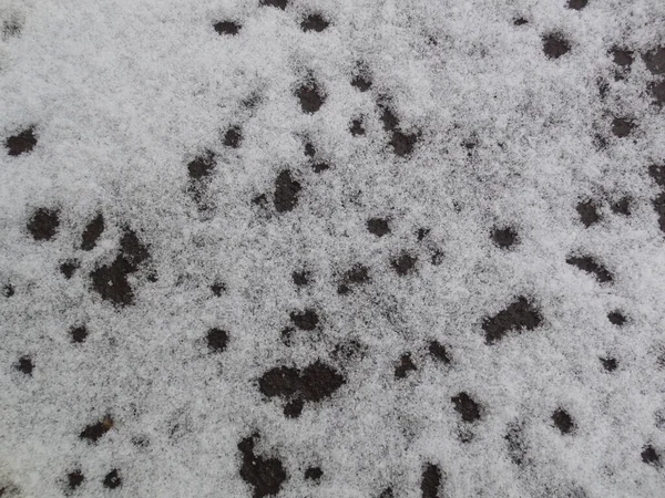 Traces Water Droplets Snow Asphalt — Stockfoto
