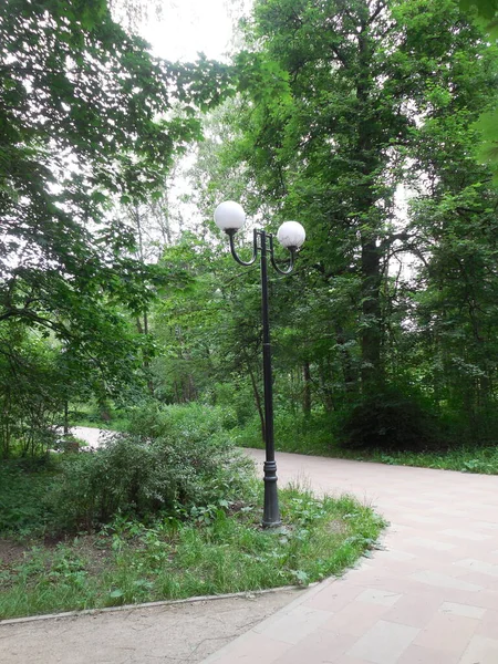 Tall Lantern White Lamps Wide Paved Path Forest Garden Park — стоковое фото