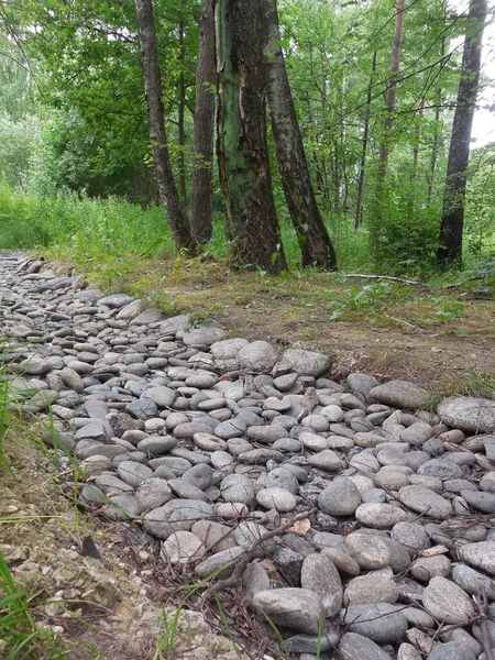 Simulation Water Flow Using Stones Pebbles Dry Creek Decorative Landscape — Stockfoto