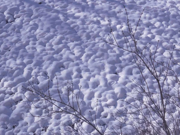 Surface Textured Bumpy Snow Cover Sunny Day Small Thawed Patches — Stockfoto