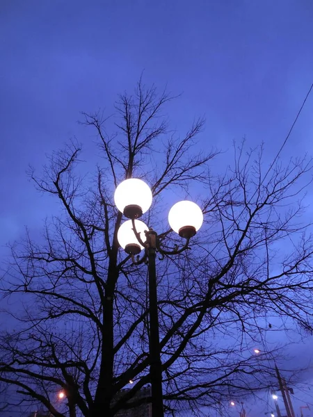 Een Straatlamp Met Drie Heldere Ronde Lampen Tegen Achtergrond Van — Stockfoto