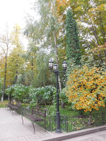 Paisagem Parque Florestal Jardim Cidade Banco Uma Lanterna Antiga Árvores — Fotografia de Stock