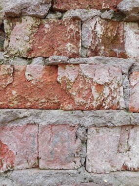 Çöken bir yapının çok eski ve yosun kaplı tuğlaları..