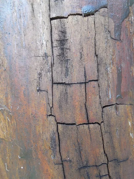 Стовбур Старого Дерева Глибокою Тріщиною — стокове фото
