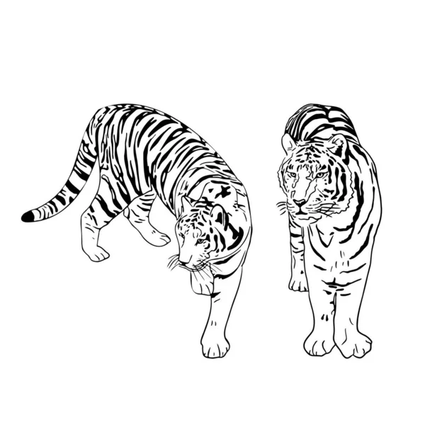 Two Tigers Black Silhouettes White Background Chinese Tiger Simple Realistic — Stock Vector