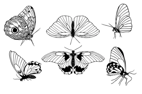 白地に黒い輪郭線の蝶を描いた手のセット 正面と側面の景色 タトゥー カード ロゴのための蝶のミニマリズムスケッチベクトルイラスト — ストックベクタ