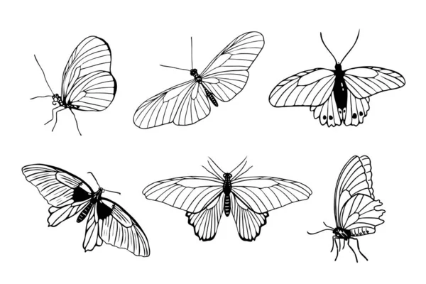 Set Farfalle Disegnate Mano Contorno Nero Sfondo Bianco Vista Frontale — Vettoriale Stock