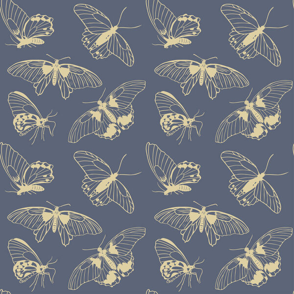 Бабочки бесшовный узор, нарисованный вручную эскиз передней и боковой зрения бабочки на темном фоне векторной иллюстрации