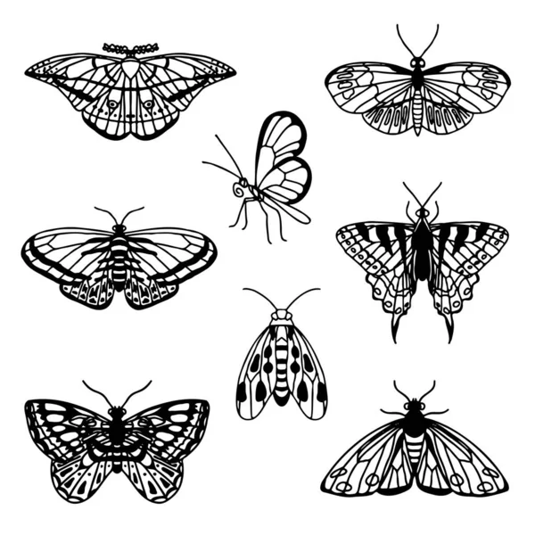Set Farfalle Disegnate Mano Contorno Nero Sfondo Bianco Vista Frontale — Vettoriale Stock