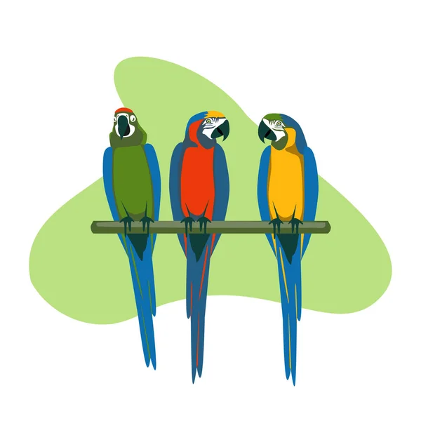 Tres Periquitos Exóticos Sentados Almuerzo Aves Tropicales Diferentes Colores Guacamayo — Vector de stock