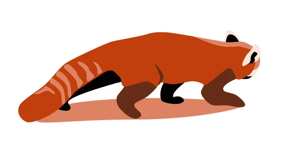 Panda Rojo Colándose Vista Lateral Oso Gato Plana Vector Ilustración — Vector de stock