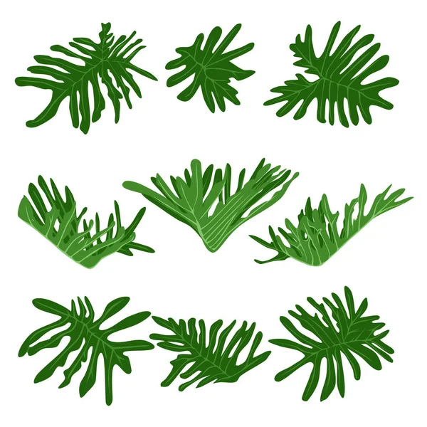 Monstera Leaves Set Flat Tropical Foliage Decoration Summer Exotic Design — Stockvector
