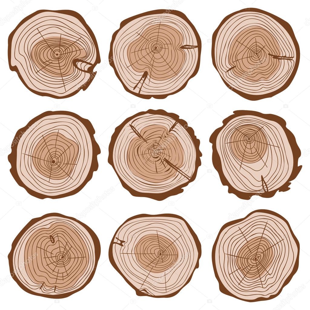 Cut of tree trunk color set, round cut of logs collection, wavy rings of life, concentric hand drawn circles, wood age tree rings vector illustration