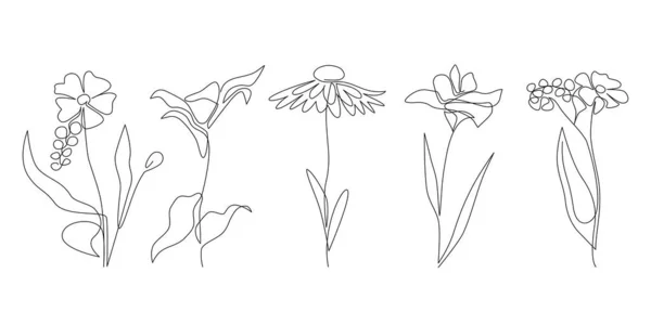 概要連続した1列の野生の花をセットします カモミールユリの花芽と花 家の装飾のための植物近代的な美的ラインアート 壁のアートポスター 手描きのミニマリストベクトルイラスト — ストックベクタ