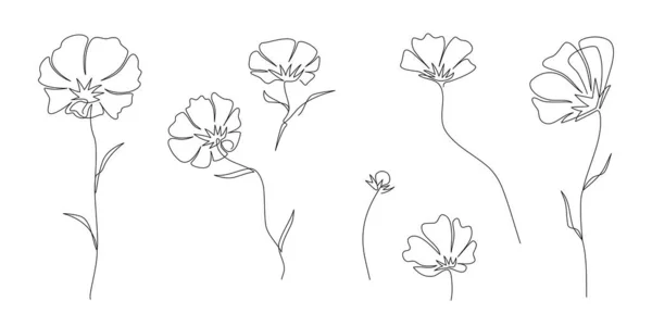 Resumen Una Línea Continua Conjunto Flores Crisantemo Brote Flores Flor — Vector de stock