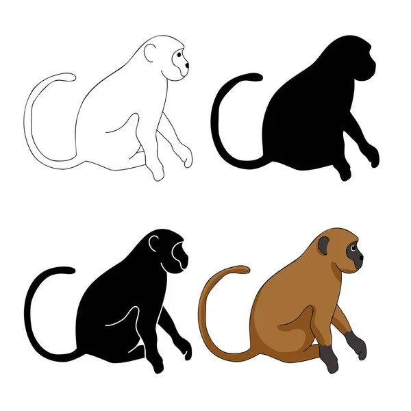 Monkey Silhouette Kontur Flach Äffchen Oder Erythrocebus Patas Kleine Primaten — Stockvektor