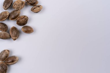 Beyaz arka plana serpilmiş birkaç kenevir tohumunu kapatın. Yukarıdan kopyalanmış bir tohum. Yüksek kalite yakın çekim