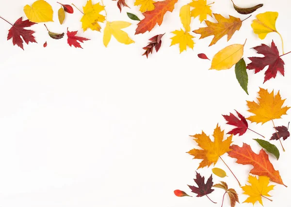 Kleurrijke Helft Van Het Frame Van Gevallen Herfstbladeren Heldere Herfst — Stockfoto