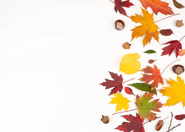 Herfst Bladeren Rand Frame Geïsoleerd Witte Achtergrond Met Kopieerruimte Voor — Stockfoto