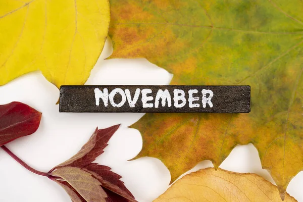 Ahornfarbene Herbstblätter Isoliert Auf Weißem Hintergrund Nahaufnahme Konzept Des Herbstmonats — Stockfoto
