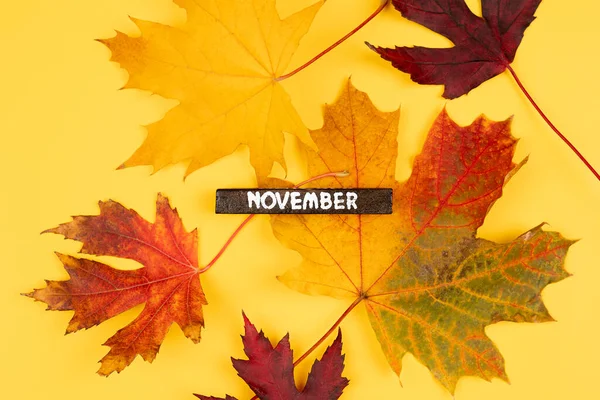 Kleurrijke Achtergrond Van Herfst Esdoorn Bladeren Achtergrond Met Houten Kalender — Stockfoto