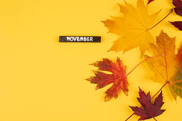 Herfst Oranje Bladeren Vallen Naar Beneden Geïsoleerd Gele Achtergrond Naam — Stockfoto