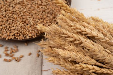 Buğday tarlası tohumu ve tahıl buğdayını beyaz ahşap masaya ekin. Toplama, yemek hazırlama, sonbahar konsepti