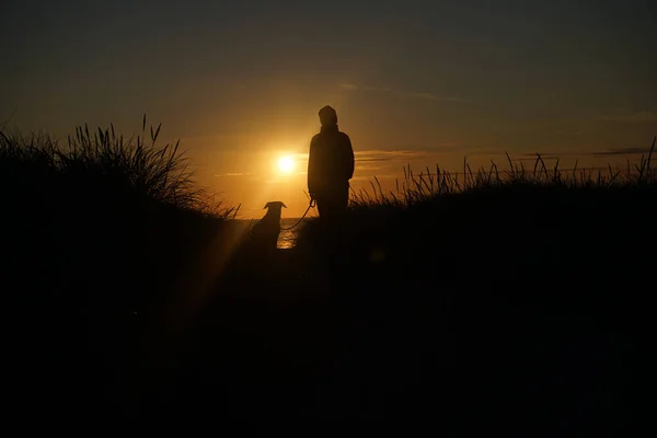 Silhouette Woman Dog Beach Sunset — Stock Photo, Image