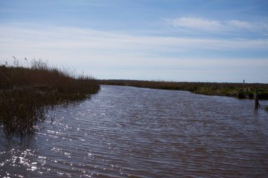 Kuzey Denizi 'nin fiyorduna giden nehir yolu.