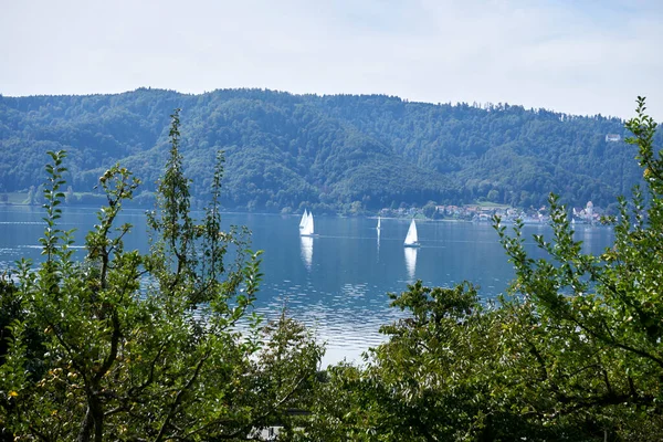 Pohled Krásné Letní Scenérie Jezero Constance — Stock fotografie